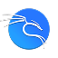 Kali Linux Security Expertise