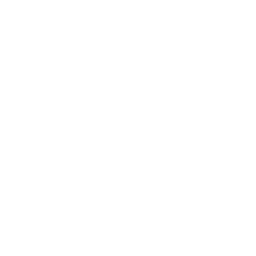 Web Development Services Icon