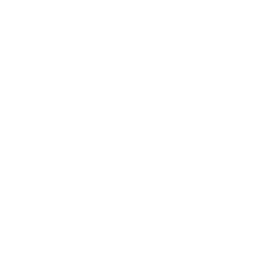 Digital Marketing Services Icon